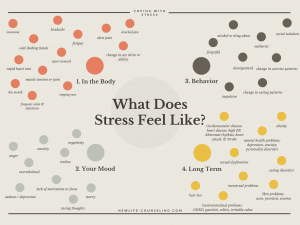 Tan background with circles in 4 colors (orange, brown, grey, yellow) that represent the 4 ways stress feels in the body, mood, behavior, and long term.