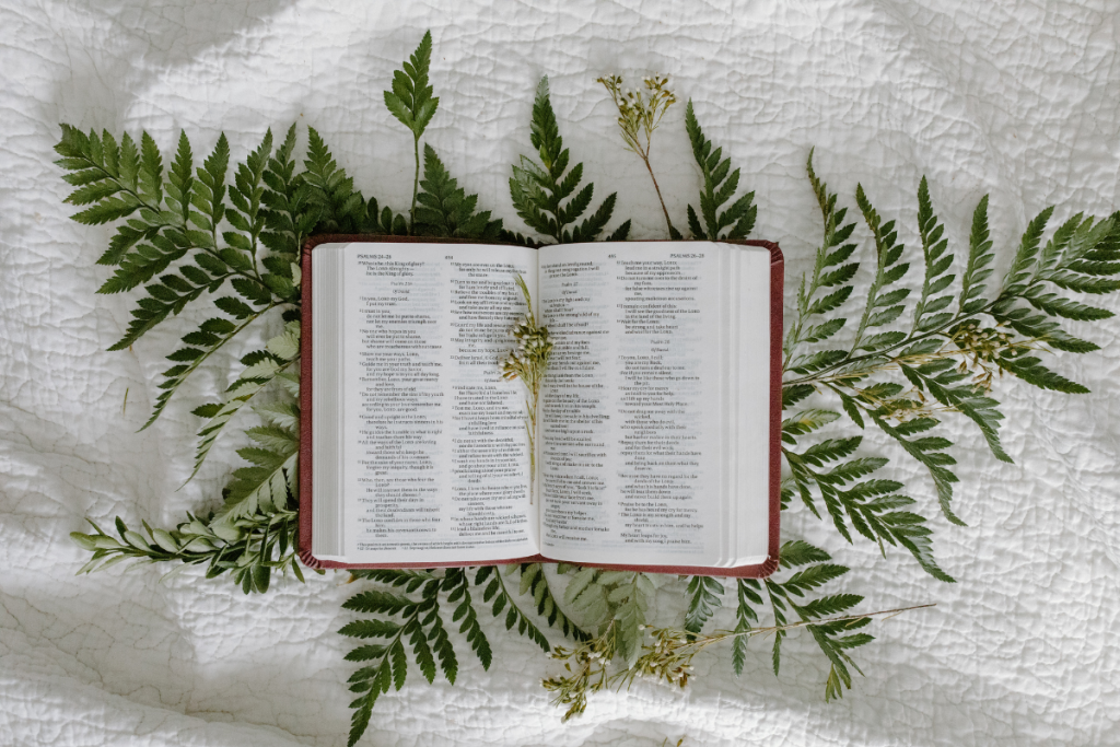 Bible laying open on a white blanket with leaves behind it. 