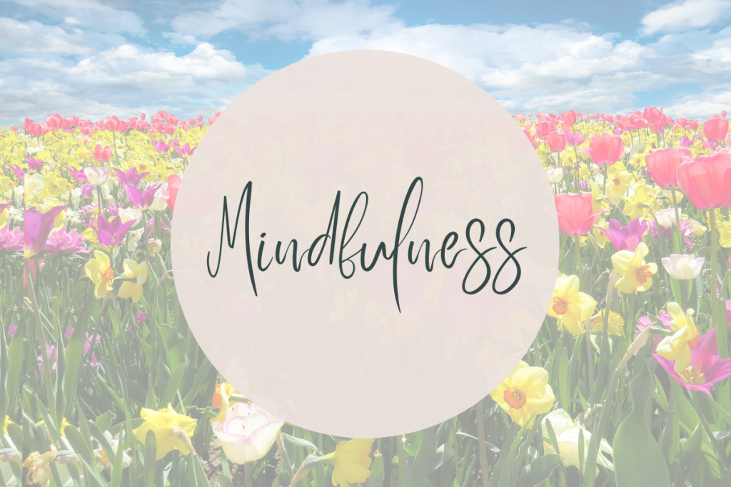 Field of colorful, spring flowers with a circle in the center of the image to help highlight the word "mindfulness". 