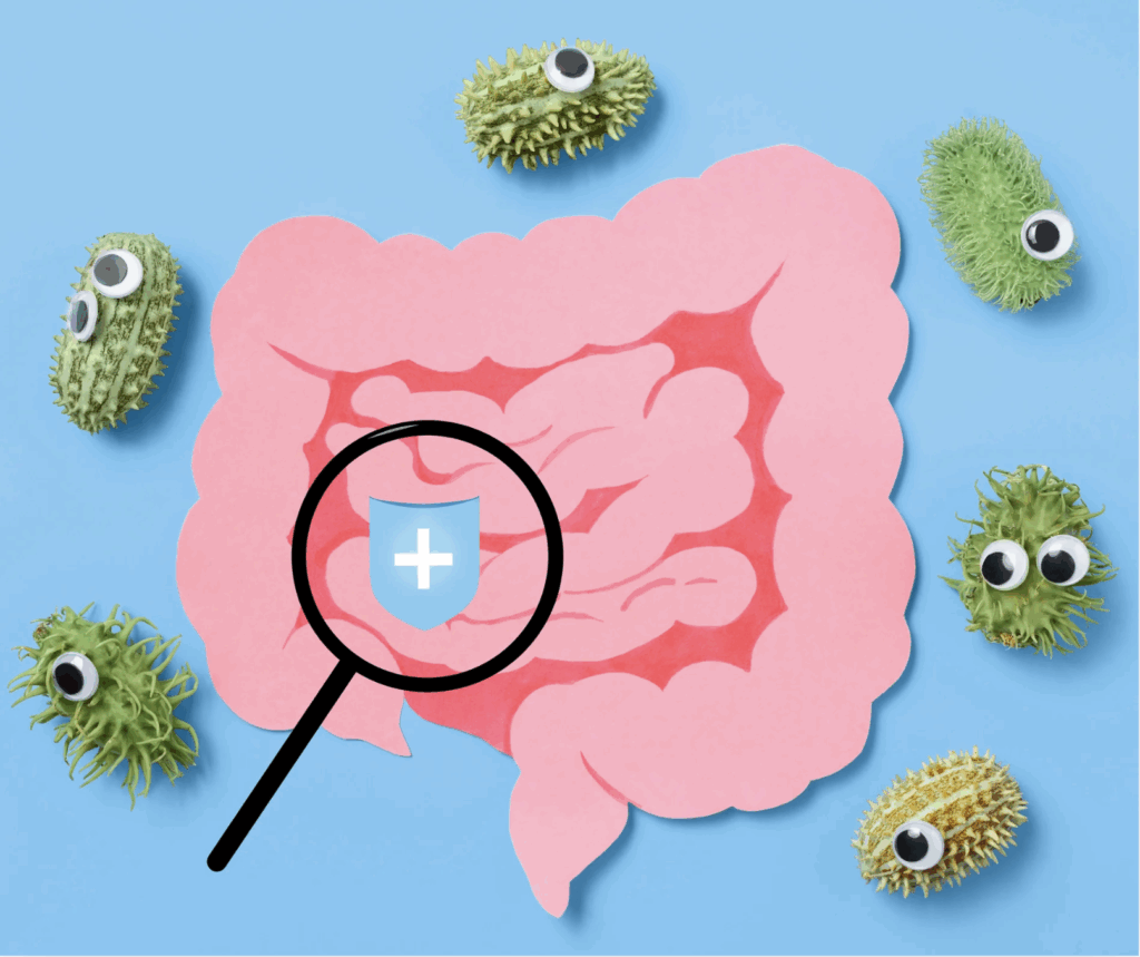An animated image of a large and small intestine with a magnified glass and germs surrounding the gut to reflect the microbiome.